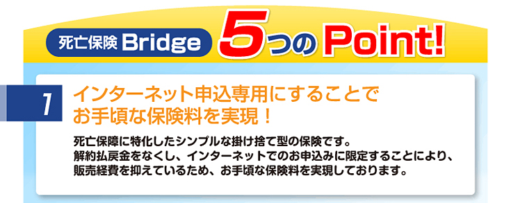 死亡保険Bridge 5つのPoint！1.インターネット申込専用にすることでお手頃な保険料を実現!