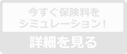 詳細を見る