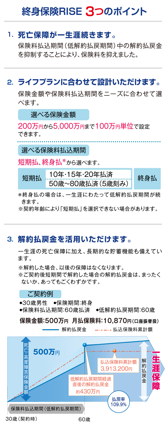 終身保険ＲＩＳＥ3つのポイント